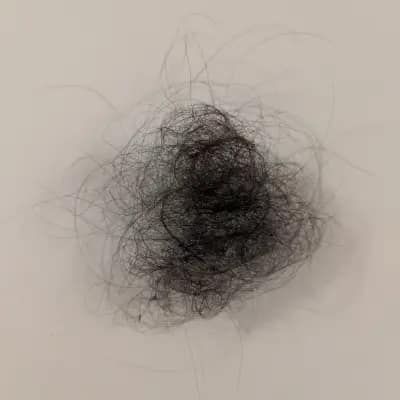 Haare aus der Dusche oder Haarbürste