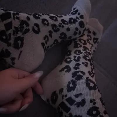 Leopard *miau*