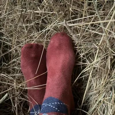 Reitsocken, zwei Tage intensiv bei der Arbeit mit Pferd und der Stallarbeit getragen, Gr. 39-40