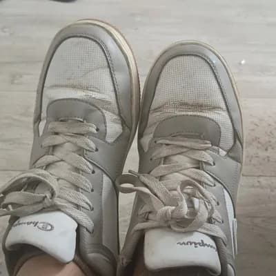 Crazyshit247