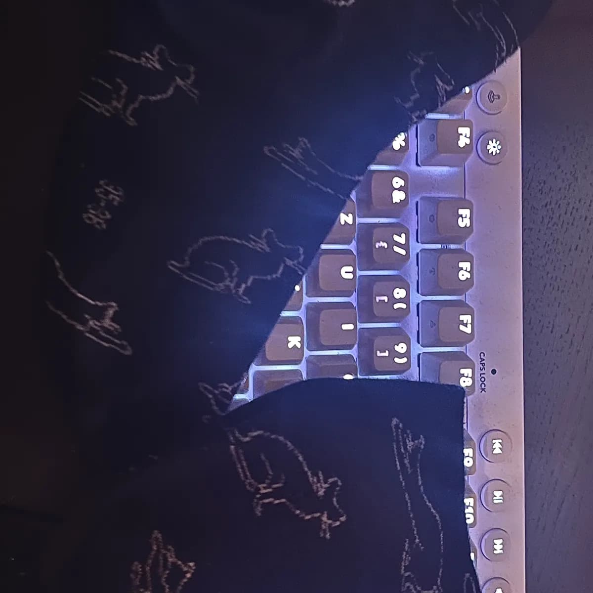 kitty socks ᓚᘏᗢ