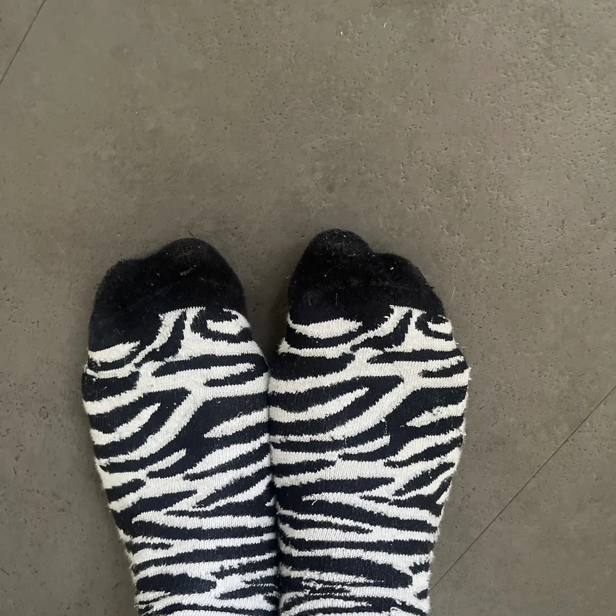 Zebrasocken