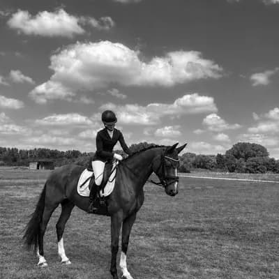 SaddleSecrets