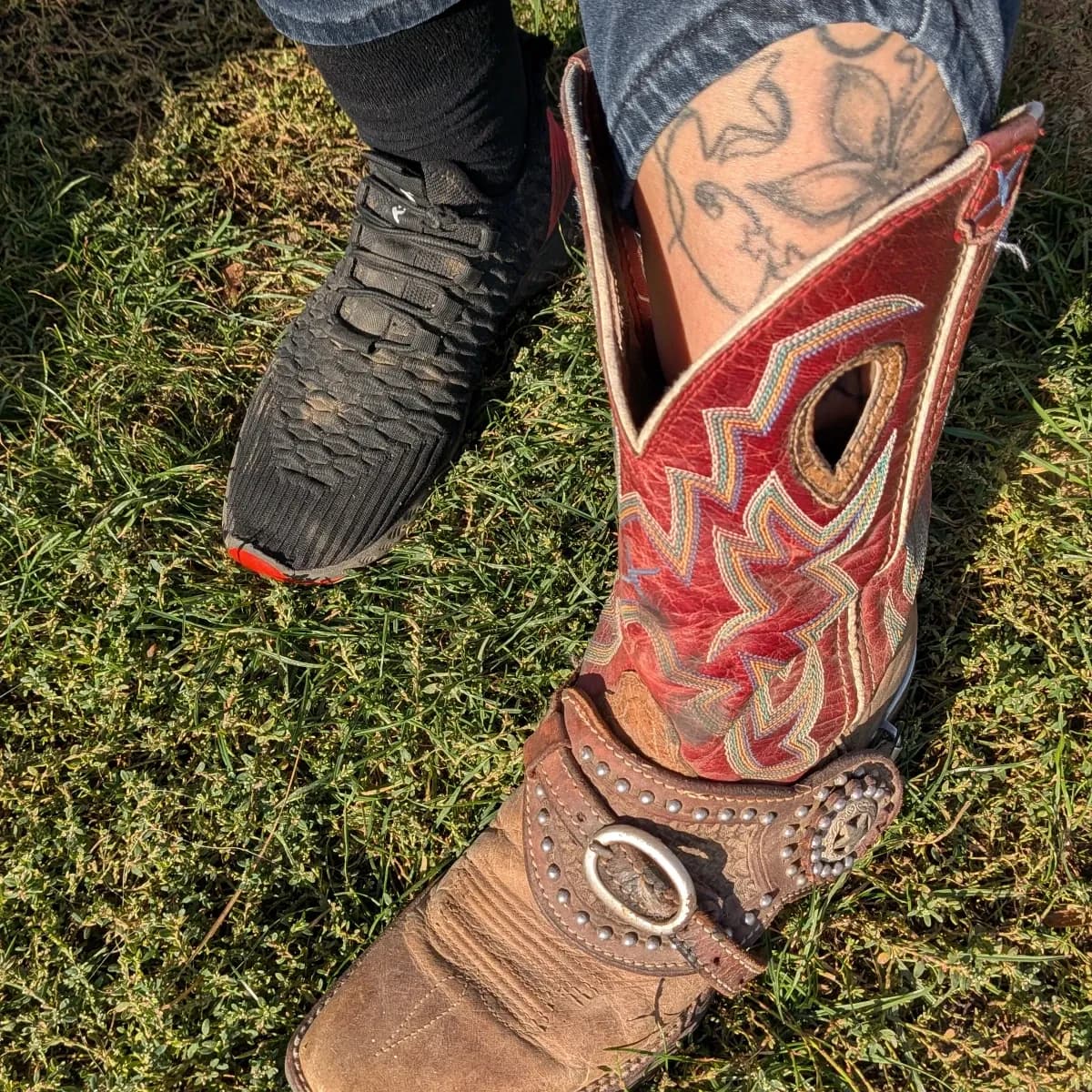 Socks from Cowgirl