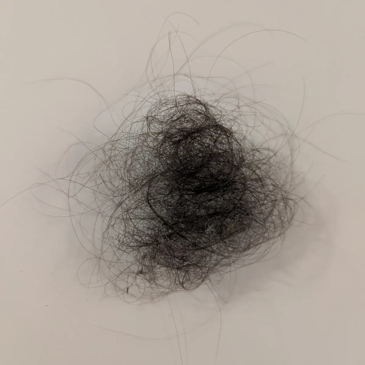 Haare aus der Dusche oder Haarbürste