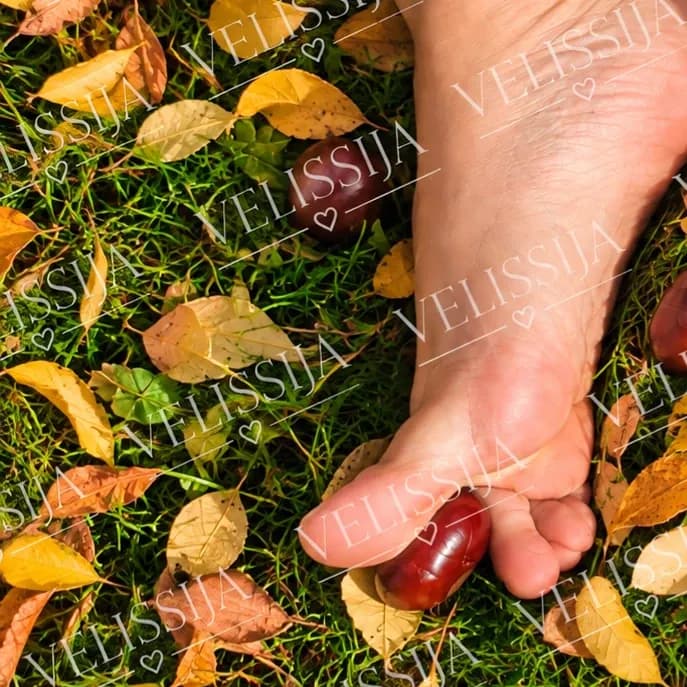 Herbstliche Fußbilder digital 10 Stück