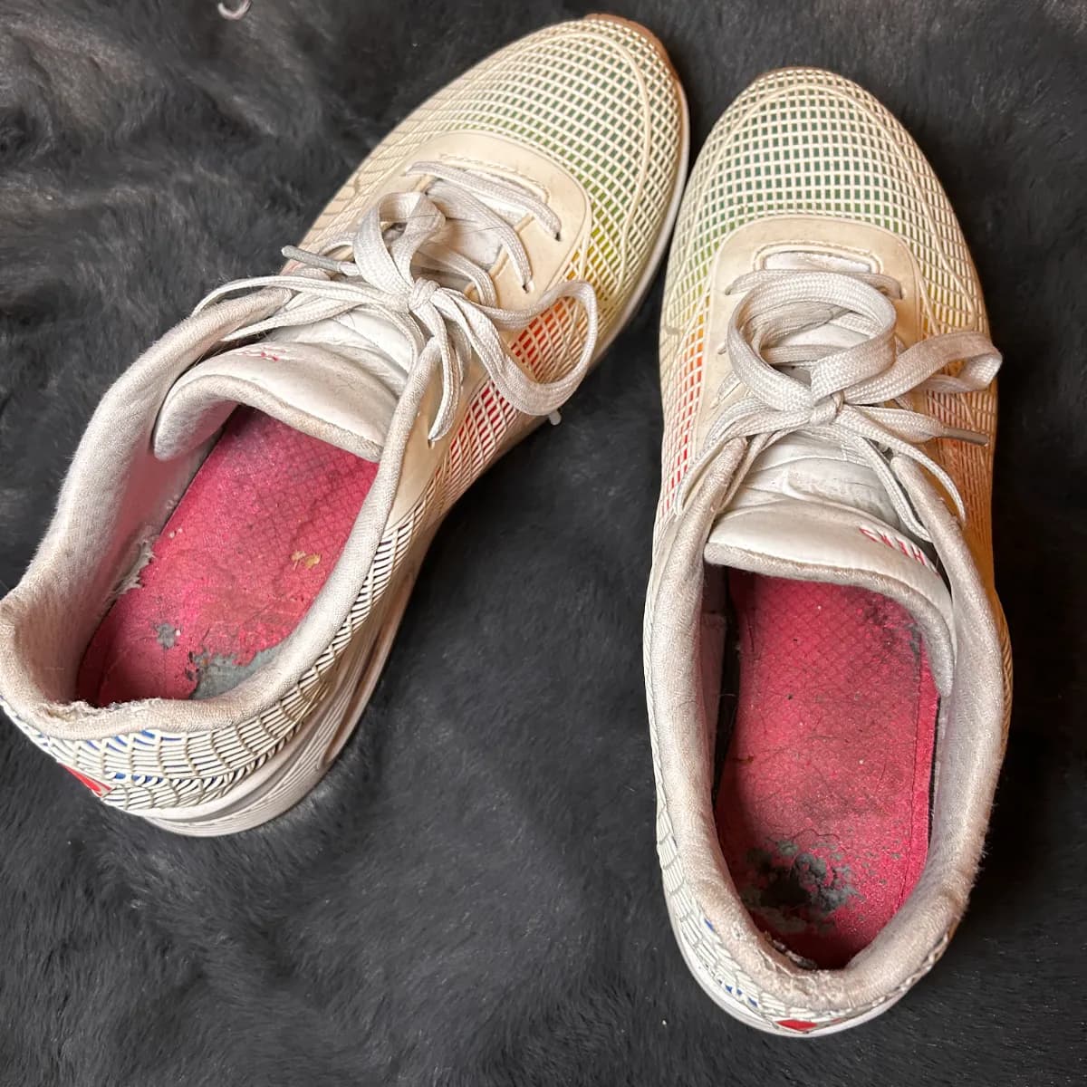 skechers rainbow