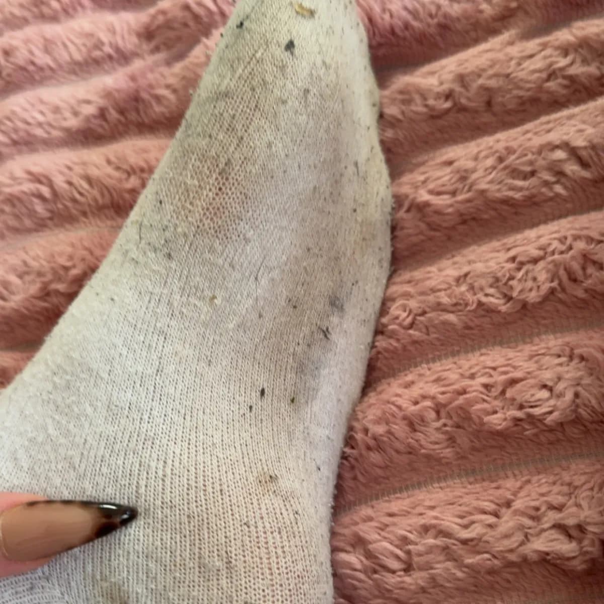 Getragene Socken 🔥😈