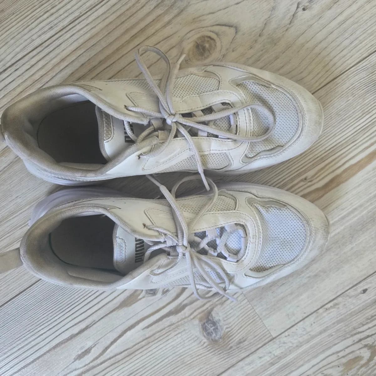 Puma Sneaker getragen