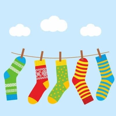 MissSocks