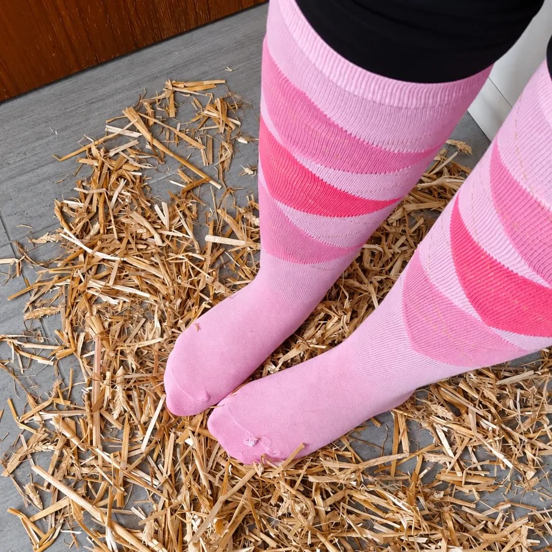 Getragene Reitsocken - Riding Horse Girl