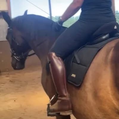 EquiLinda_Socks